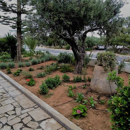 New Aurora Apts Studios Φέρμα Εξωτερικό φωτογραφία